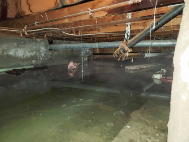 Water damage restoration insurance claims