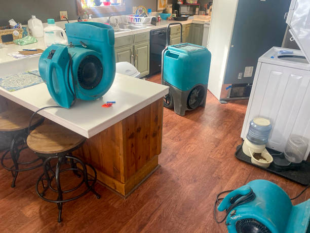 Best 24/7 water damage repair  in Pittston, PA