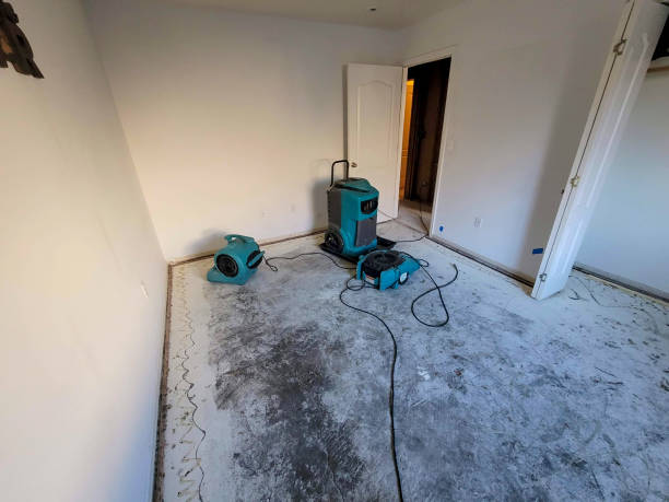 Best Emergency water damage restoration  in Pittston, PA