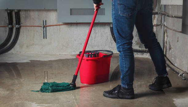 Best Water damage restoration process  in Pittston, PA