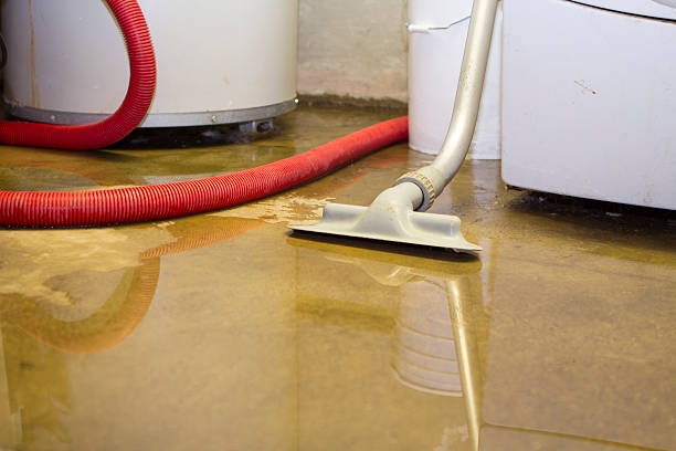 Best Residential water damage restoration  in Pittston, PA