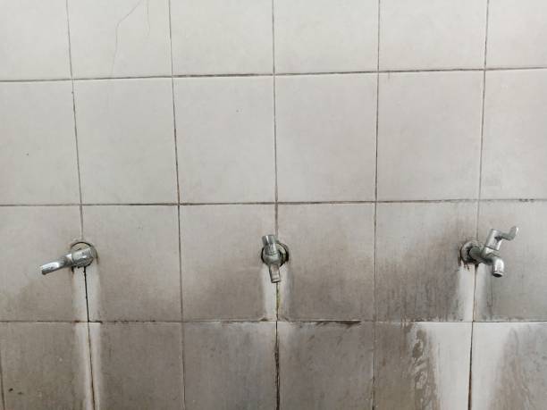 Best Water damage cleanup near me  in Pittston, PA