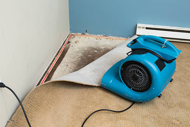 Best Flooded house restoration  in Pittston, PA